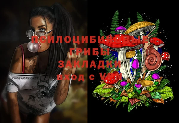 не бодяженный Алзамай
